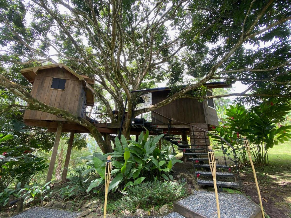 Finca Vela Lodge Bocas Town Exterior foto