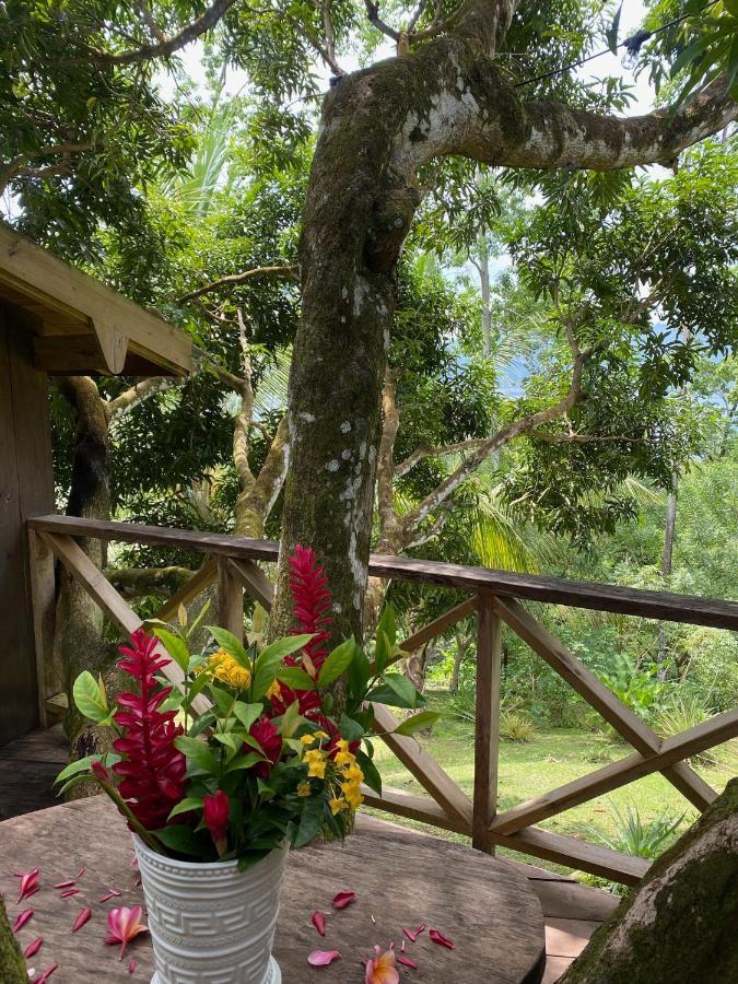 Finca Vela Lodge Bocas Town Exterior foto