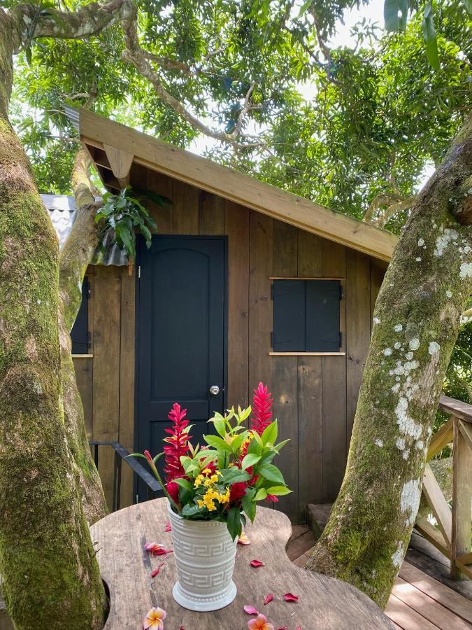 Finca Vela Lodge Bocas Town Exterior foto