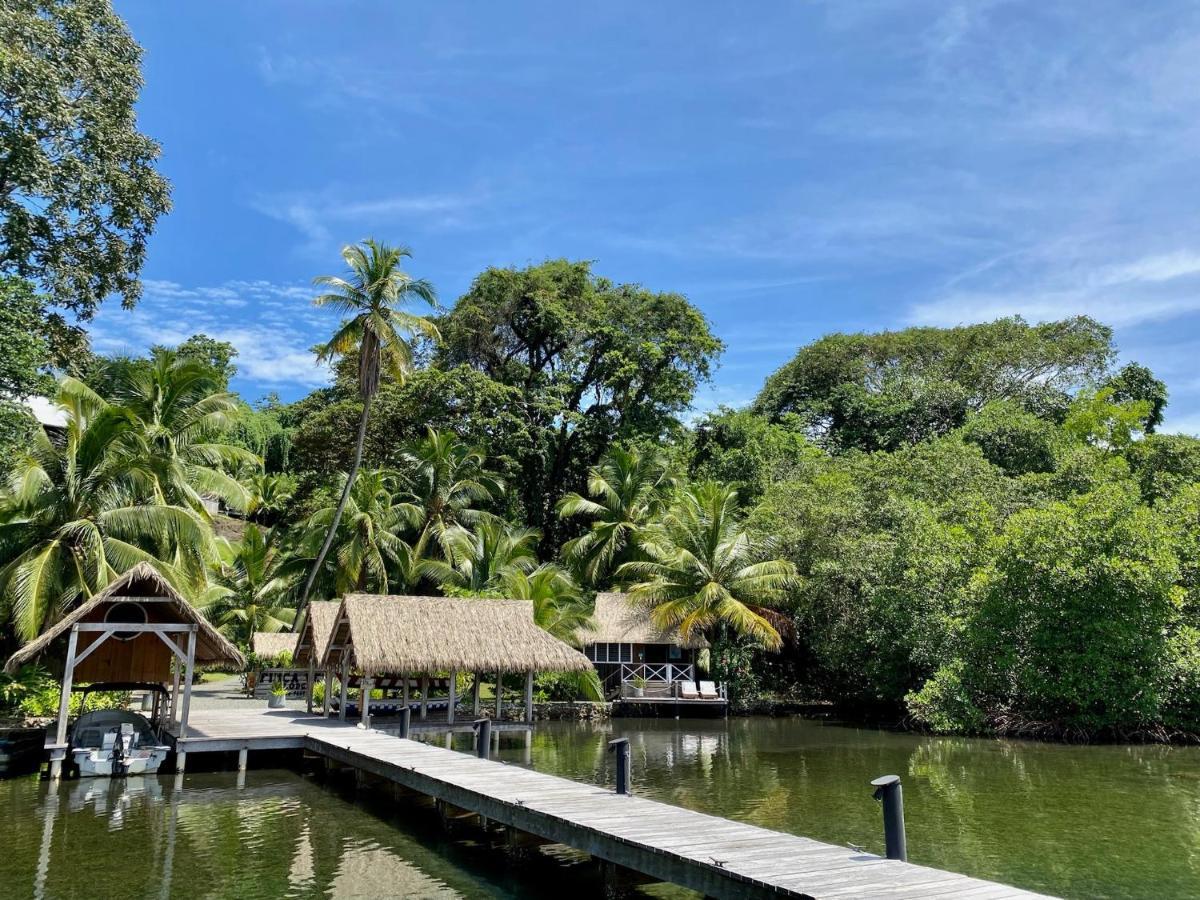 Finca Vela Lodge Bocas Town Exterior foto