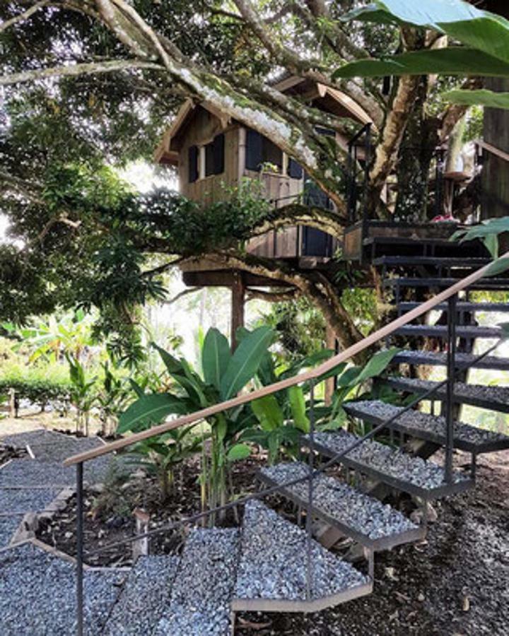 Finca Vela Lodge Bocas Town Quarto foto